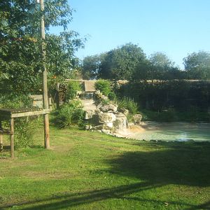 View of Tiger enclosure