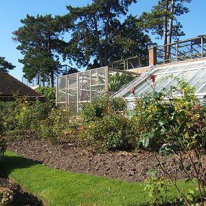 View of White-lipped Tamarin ebclosure