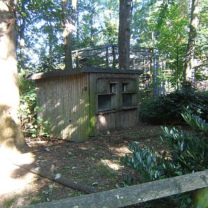 Out of use old small cat enclosure`s