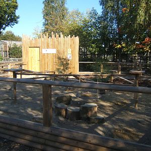 New Meerkat enclosure