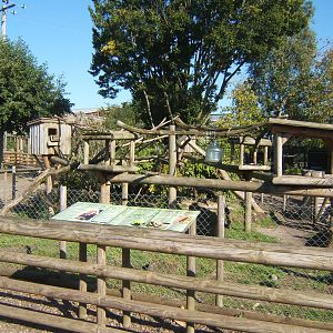 View of Red Panda enclosure