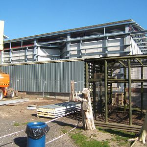 View of construction of Chimp House