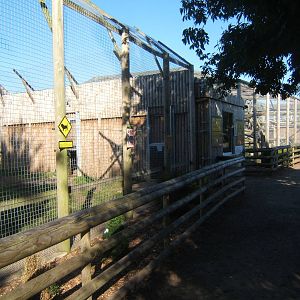 View of Big Cat enclosures
