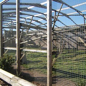 View of Jaguar enclosure
