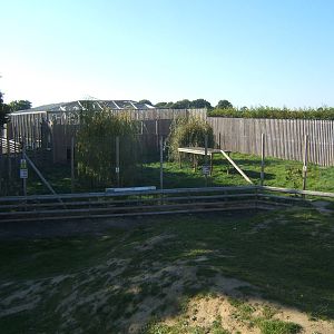 View of Cheetah enclosure