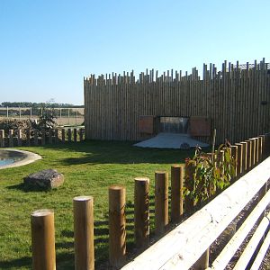 View of Aldabra Giant Tortoise enclosure