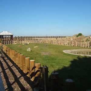 View of Aldabra Giant Tortoise enclosure