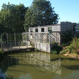 View of Mandrill House