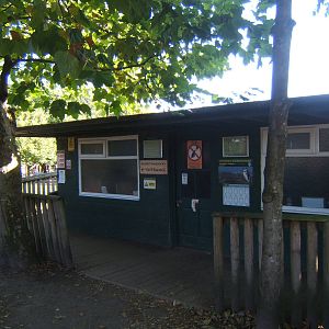 View of Penguin enclosure