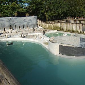 View of Penguin enclosure