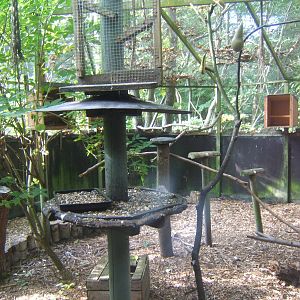 View of Corvid Aviary