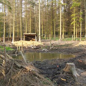 View of Wild Boar enclosure