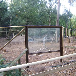 Work on new Arctic Fox enclosure