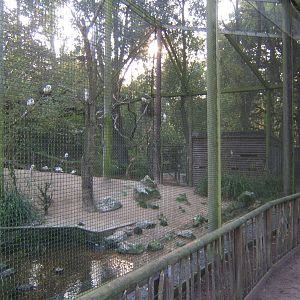 Egret and Wader Aviary