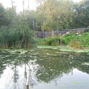 View of European Otter enclosure