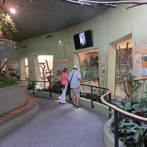View towards the koala enclosure - Zoo Dresden