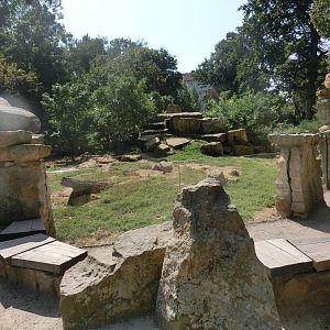 Meerkat exhibit - Zoo Dresden