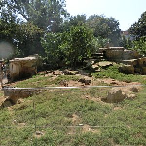 Meerkat exhibit - Zoo Dresden