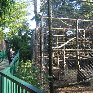 View of Guinea Baboon enclosure by entrance