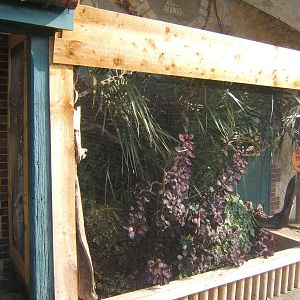 Outdoor Pygmy Marmoset enclosure