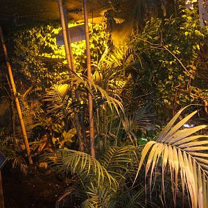 View inside The Discovery Zone