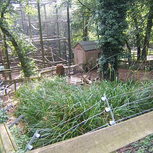 View of empty Agouti enclosure