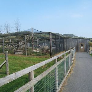 View of walk in Pallas Cat enclosure