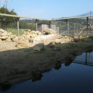 View inside walk in Pallas Cat enclosure