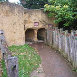 Meerkat viewing tunnels