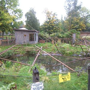 Aloatran Gentle Lemur enclosure