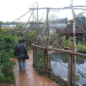 View of walk through primate exhibit