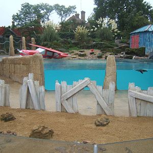 View of Humboldt`s Penguin enclosure