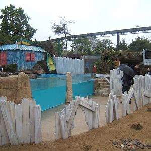 View of Humboldt`s Penguin enclosure