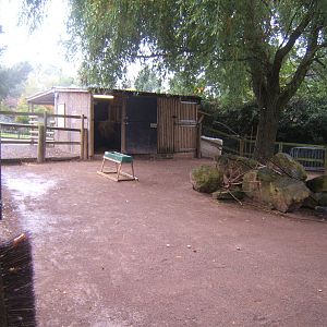 View of Reindeer enclosure