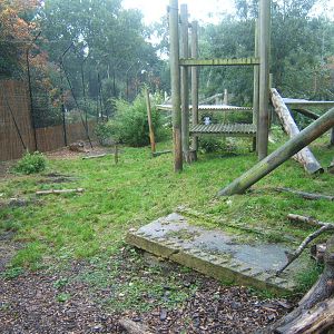 View of Sumatran Tiger enclosure