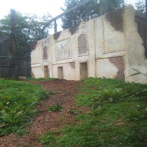 View of Lion enclosure