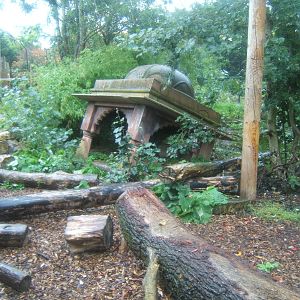 View of Sumatran Tiger enclosure