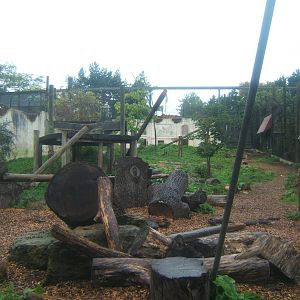 View of Asian Lion enclosure