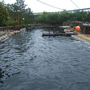View of Californian Sealion enclosure