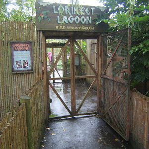 Lorikeet lagoon entrance