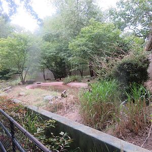 National Zoo - Giant Anteater Exhibit.