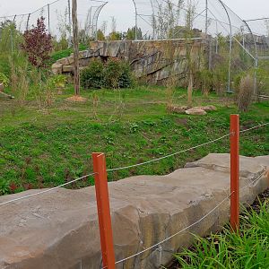 Tiger Exhibit - Islands - 11/10/2015