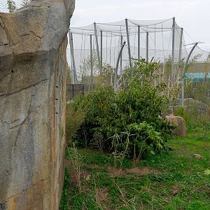 Tiger Exhibit - Islands - 11/10/2015