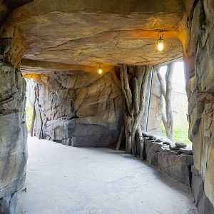 Tiger Exhibit - Islands - 11/10/2015