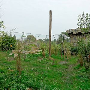 Tiger Exhibit - Islands - 11/10/2015