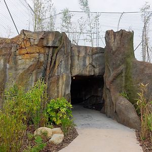 Tiger Exhibit - Islands - 11/10/2015