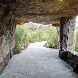 Tiger Exhibit - Islands - 11/10/2015