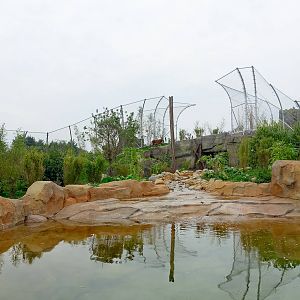 Tiger Exhibit - Islands - 11/10/2015