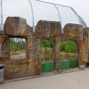 Tiger Exhibit - Islands - 11/10/2015