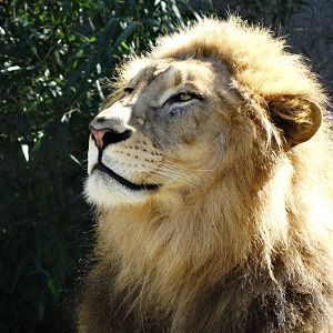 Oct. 2015 - Africa - John